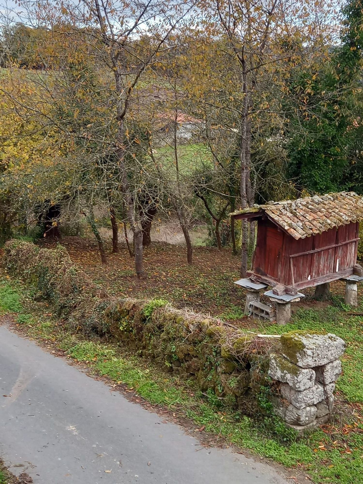 Casa o chalet independiente en Pedrafita, 5 - Foto 4