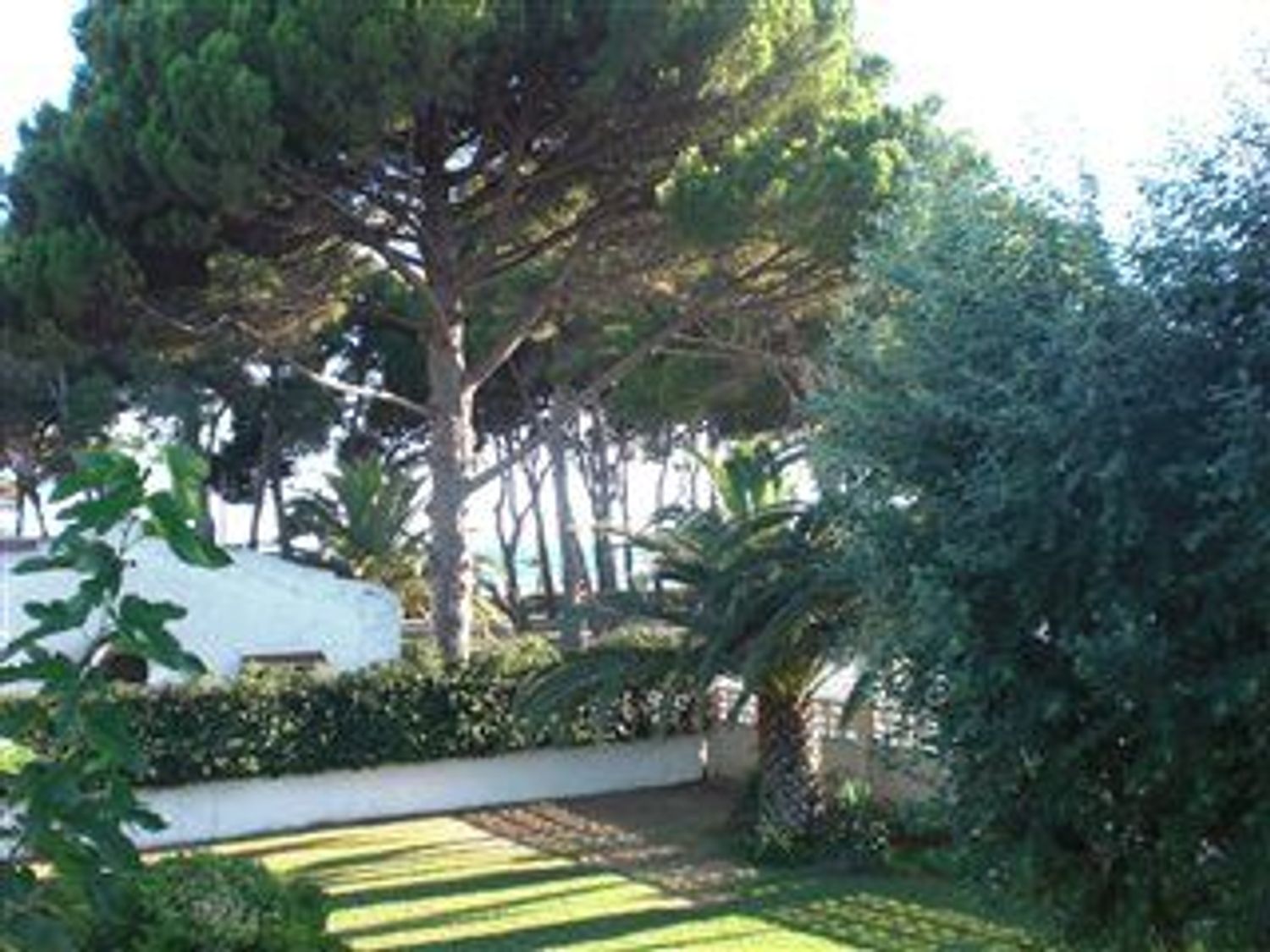 Estudio en Calle francine geisler, 12, Vilafortuny platja - Foto 3