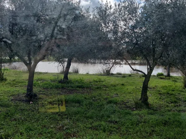 Finca rústica en Campo, 2 - Foto 12