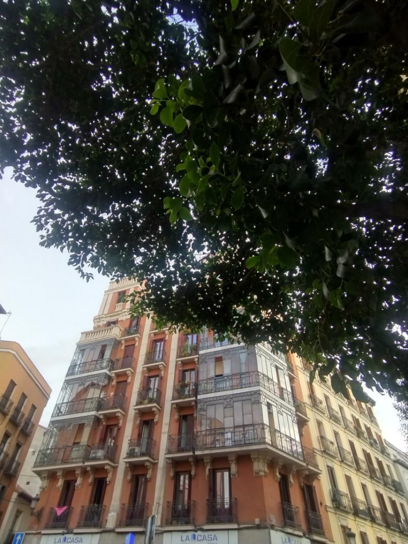 Piso en  Calle de la Sierpe 1 - Foto 3