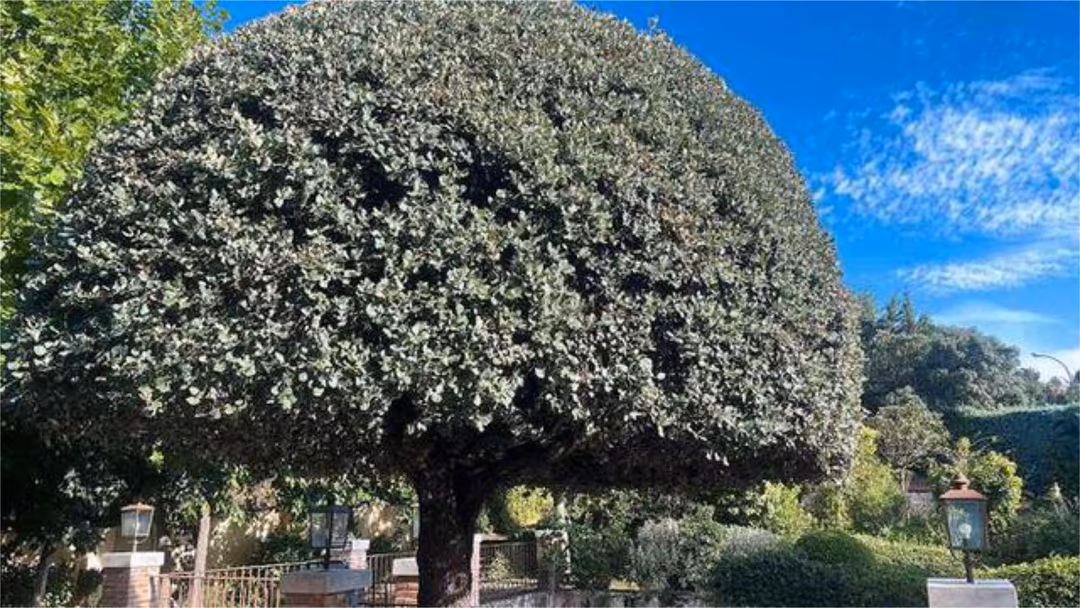 Casa adosada en ciudalcampo - Foto 5