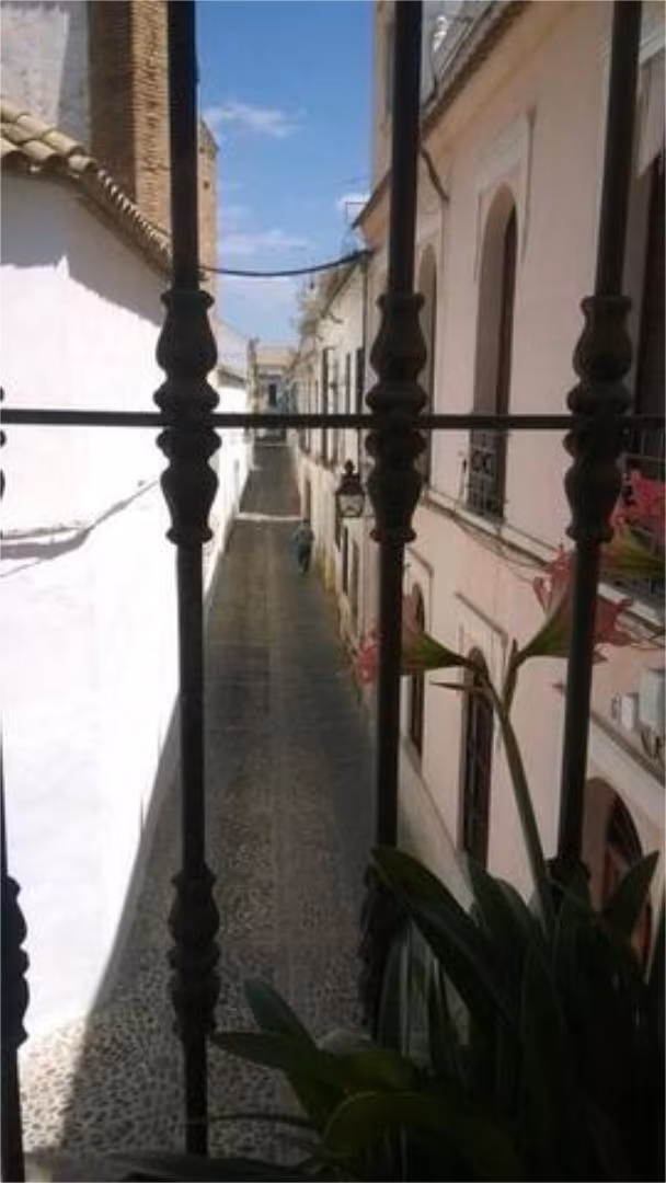 Piso en Centro - Foto 6