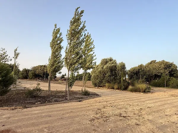 Finca rústica en Ca-4201 s/n, Barrio Nuevo, Barrio Nuevo - Foto 13