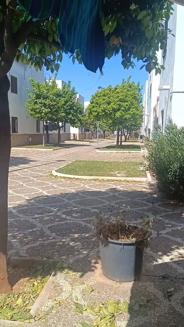 Planta baja en  Pasaje Albert Einstein 35 - Foto 3