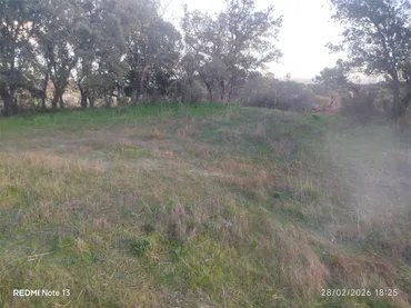Finca rústica en  Vial Camino 74 - Foto 2