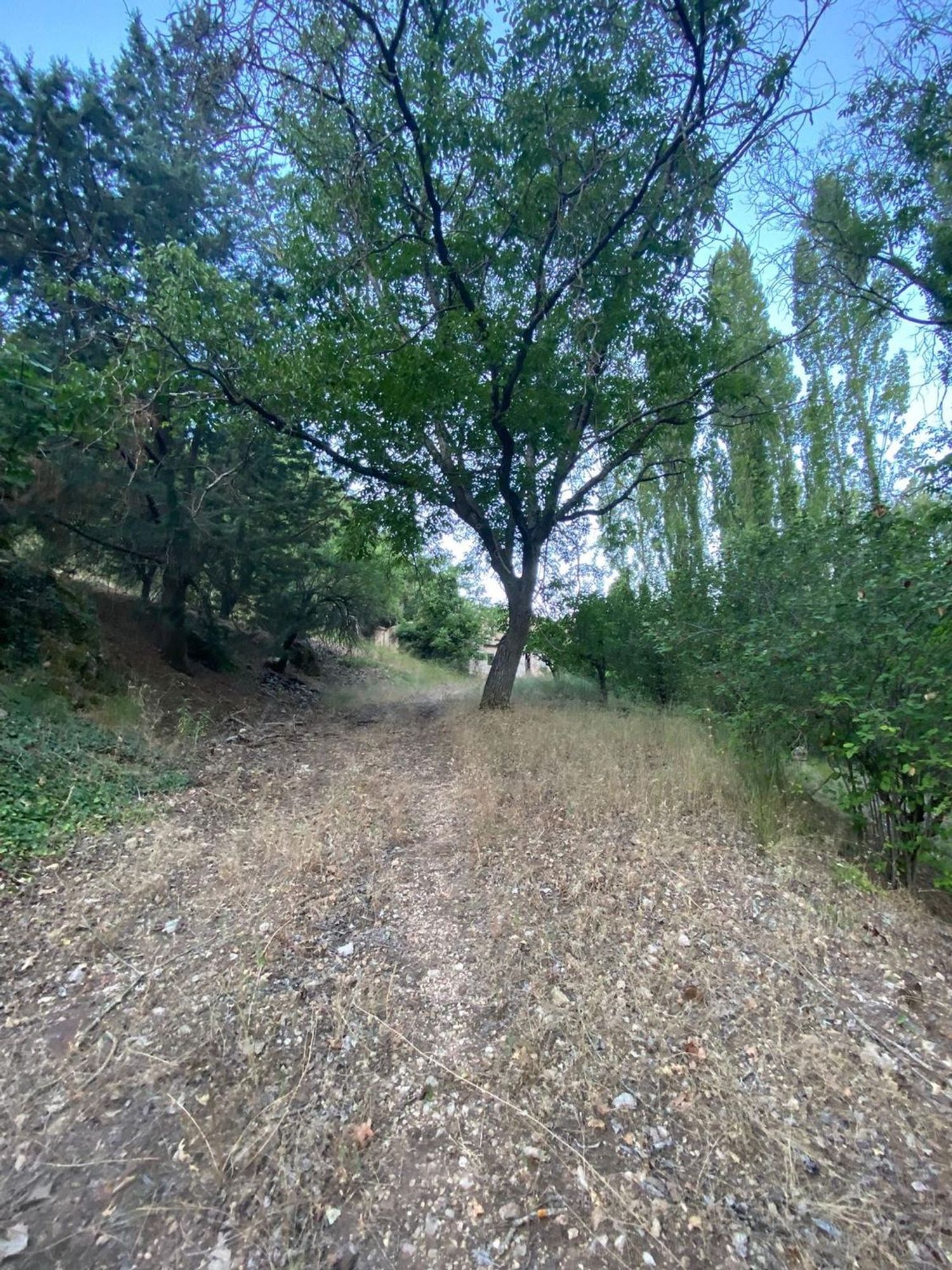 Finca rústica en Sn s/n - Foto 24
