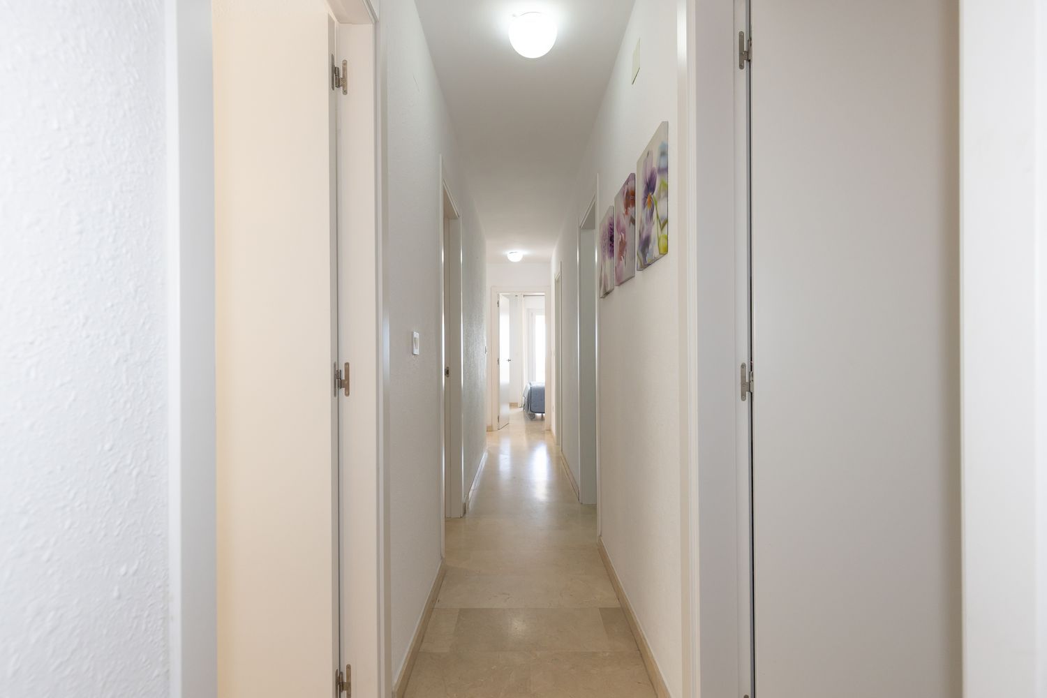 Piso en Avenida de la Diputació, 39, Regueral - Prat d'En Foré, Regueral - Prat d'En Foré - Foto 24
