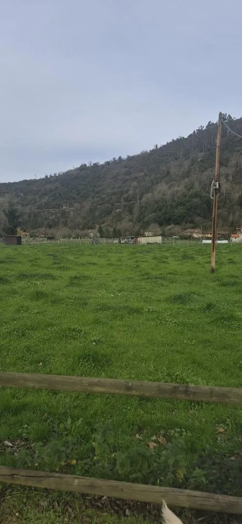 Finca rústica en  Lugar Godos 9 - Foto 15