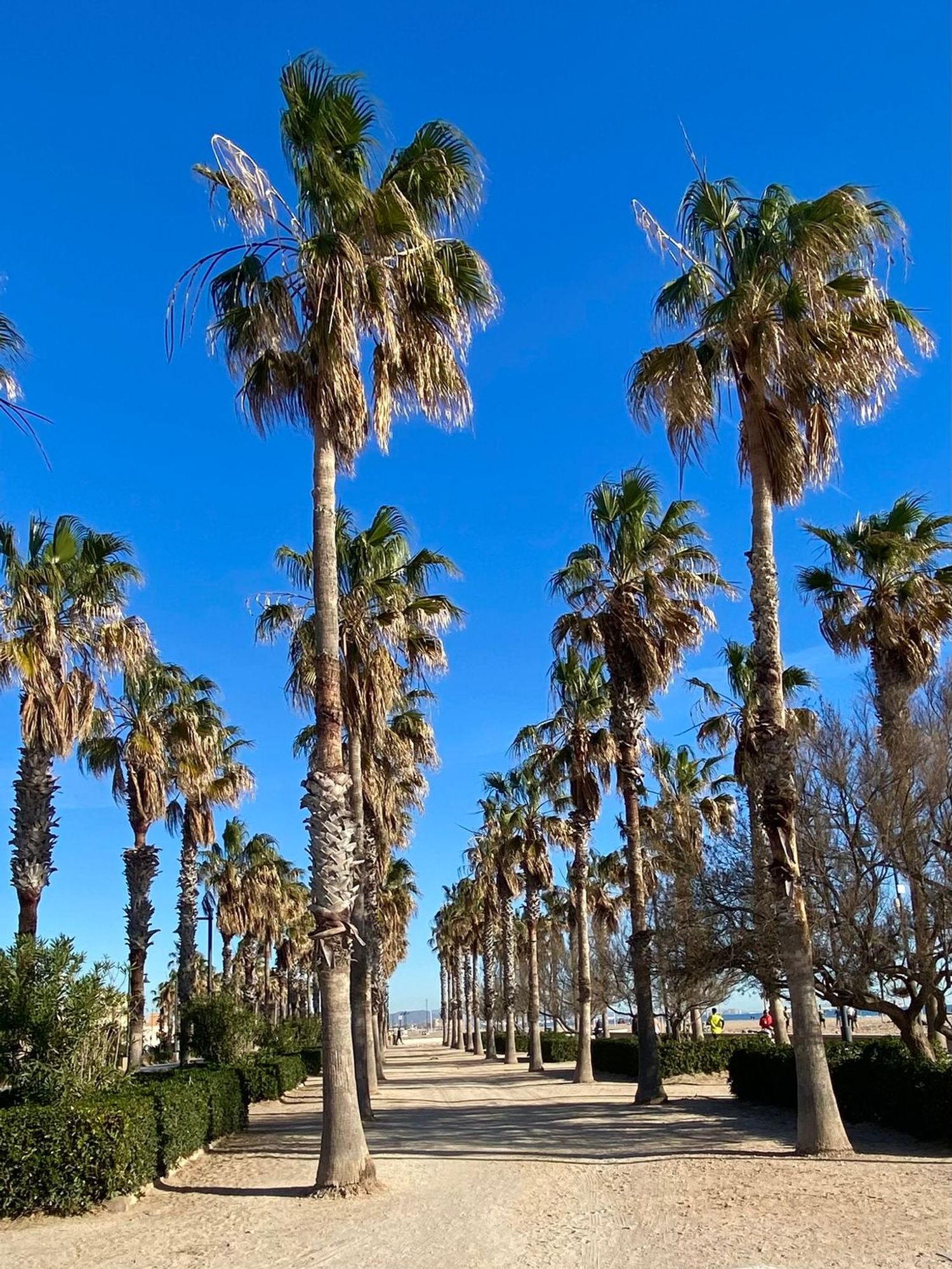 Chalet adosado en calle de l'Arquebisbe Company, 20 - Foto 32
