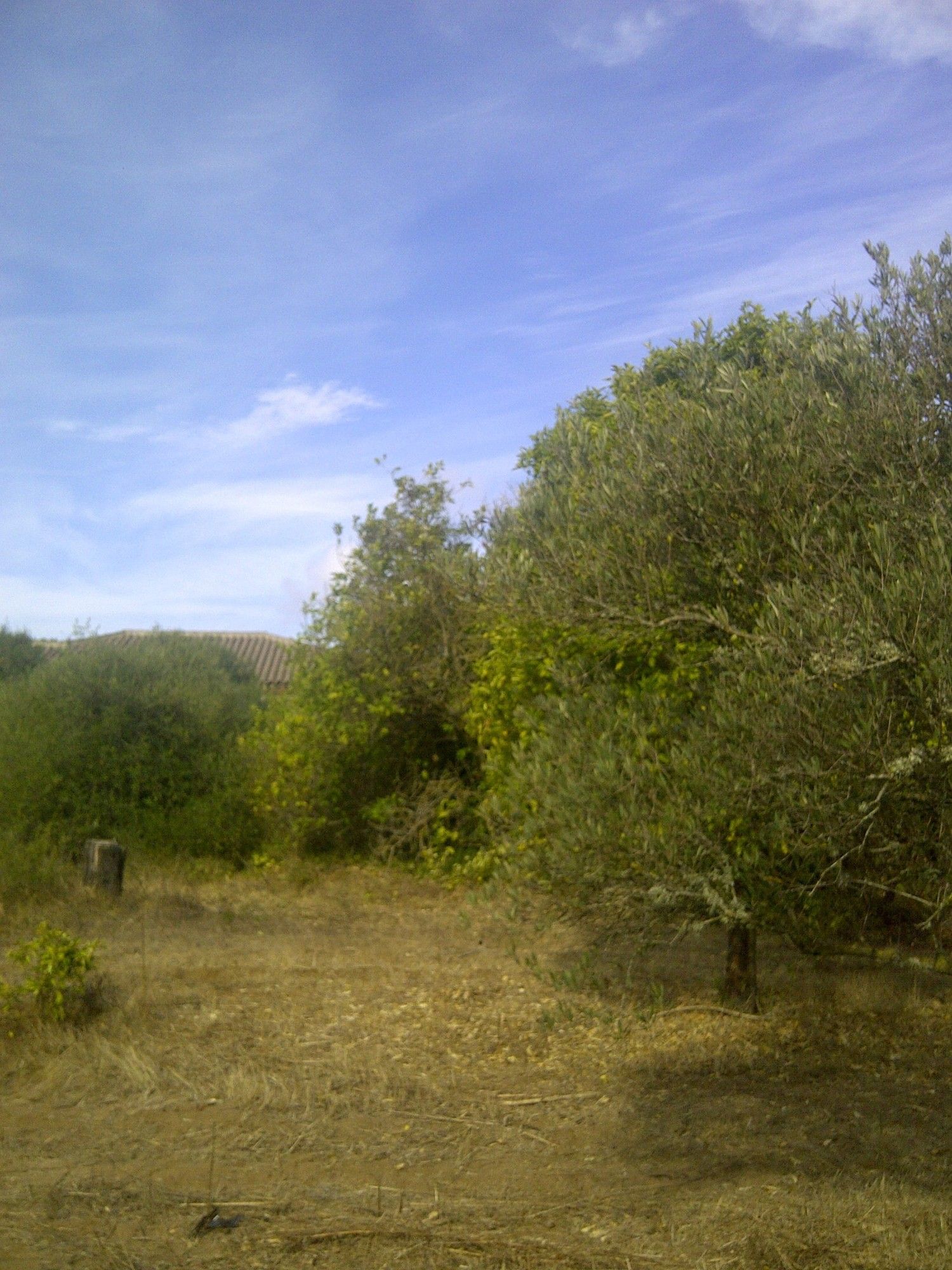 Casa independiente en camino de Melilla s/n - Foto 19
