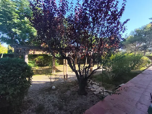 Casa o chalet independiente en Olèrdola - Foto 8