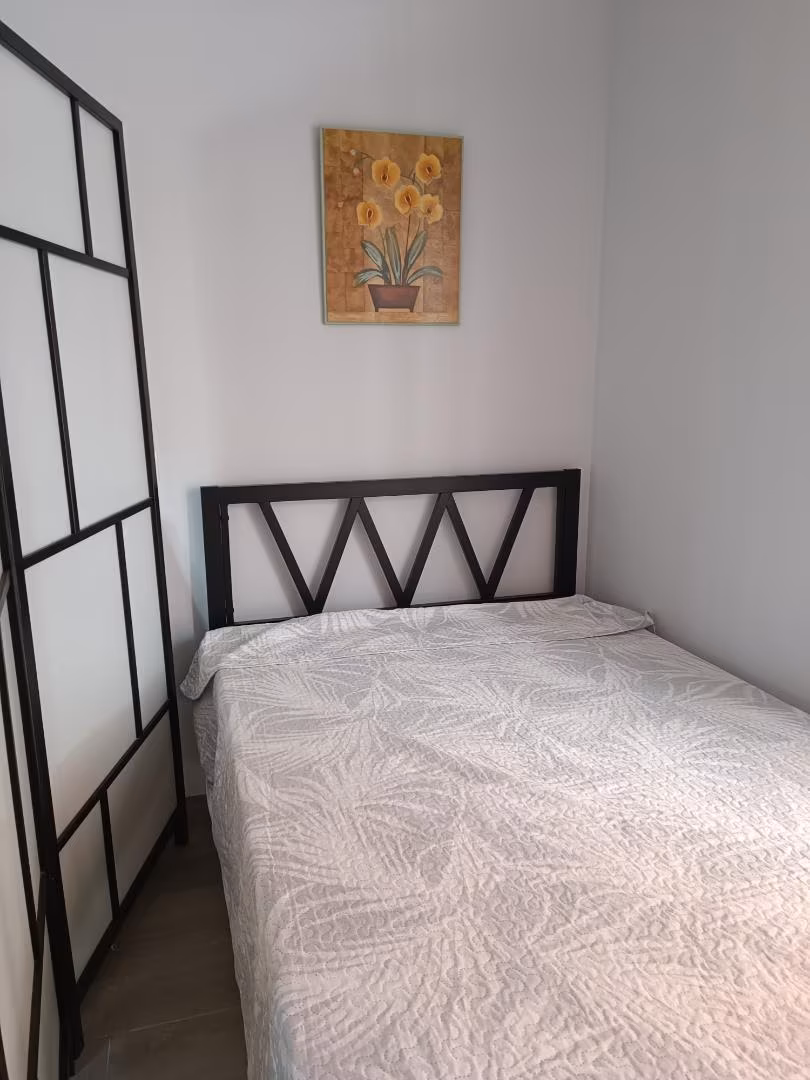 Estudio en  Avenida de España 48 - Foto 5