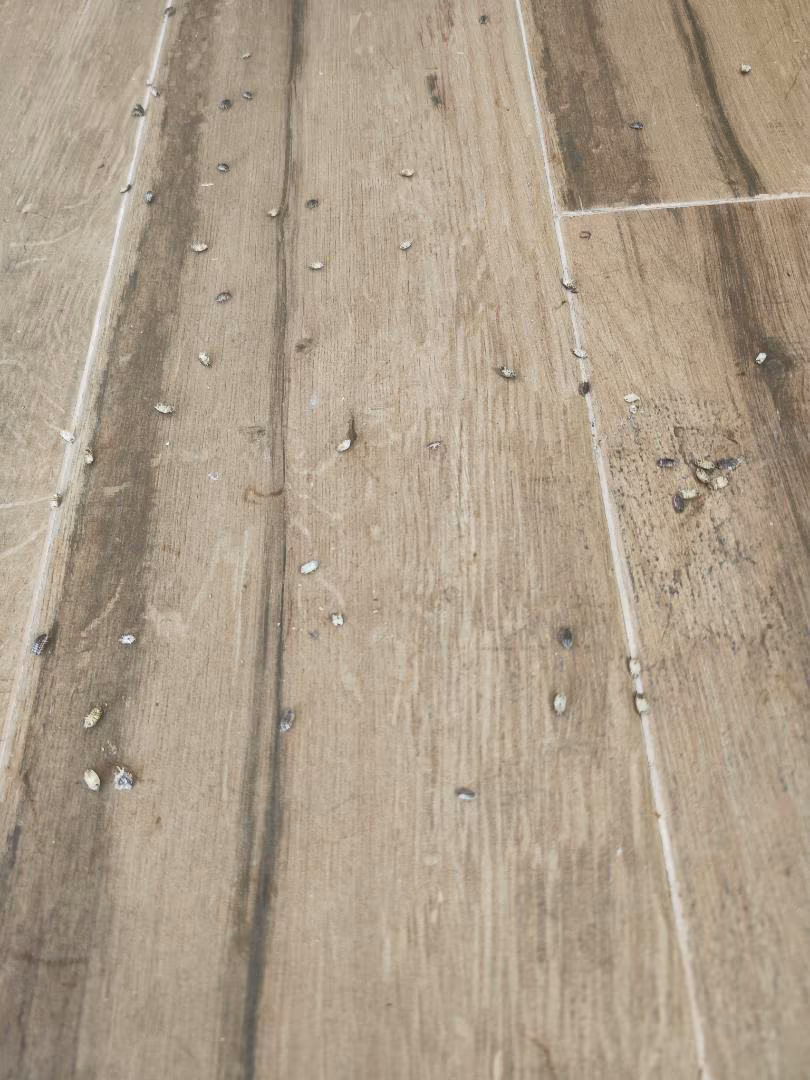 Piso en  Avenida Federico García Lorca 26 - Foto 25