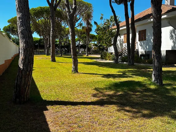 Casa o chalet independiente en Avenida de la Barrosa, 64, La Barrosa, La Barrosa - Foto 17