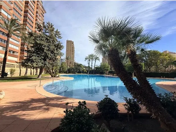 Piso en Avenida Marina Baixa, 1, Playa de Poniente, Playa de Poniente - Foto 7