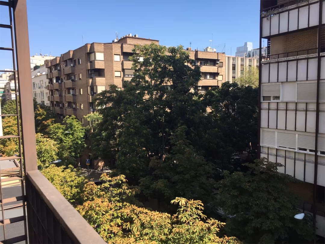 Estudio en  Maldonado 55