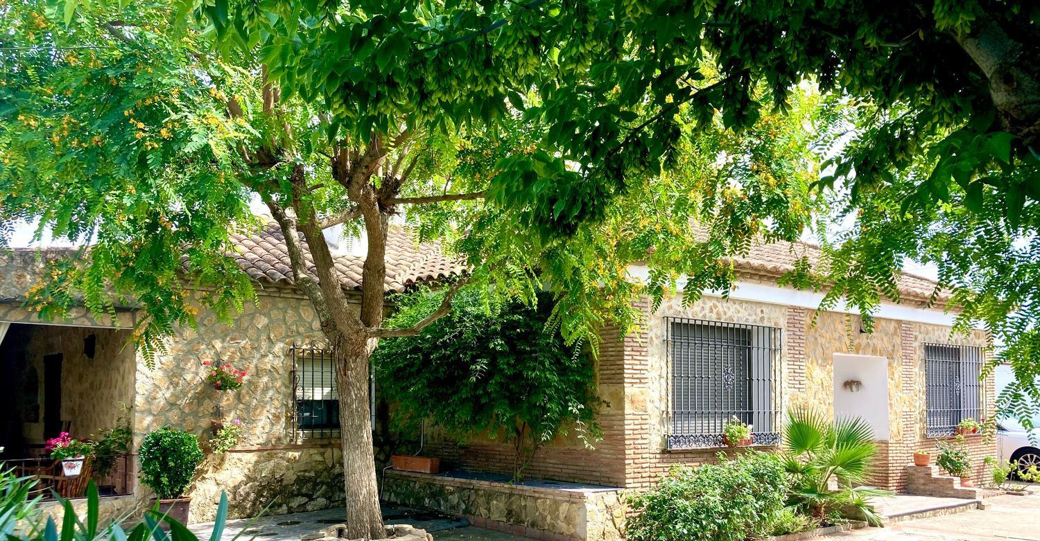 Casa o chalet independiente en Bda. de San José (Huertos Familiares), 175 - Foto 27