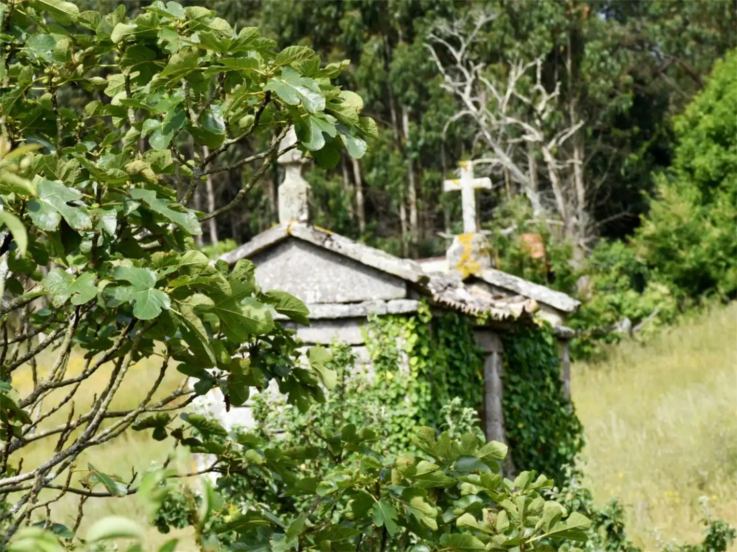 Chalet en  Sorna 22T - Foto 13