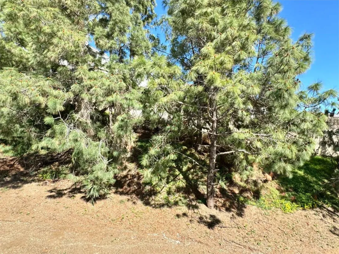 Casa adosada en  Calle Guarás 4 - Foto 13