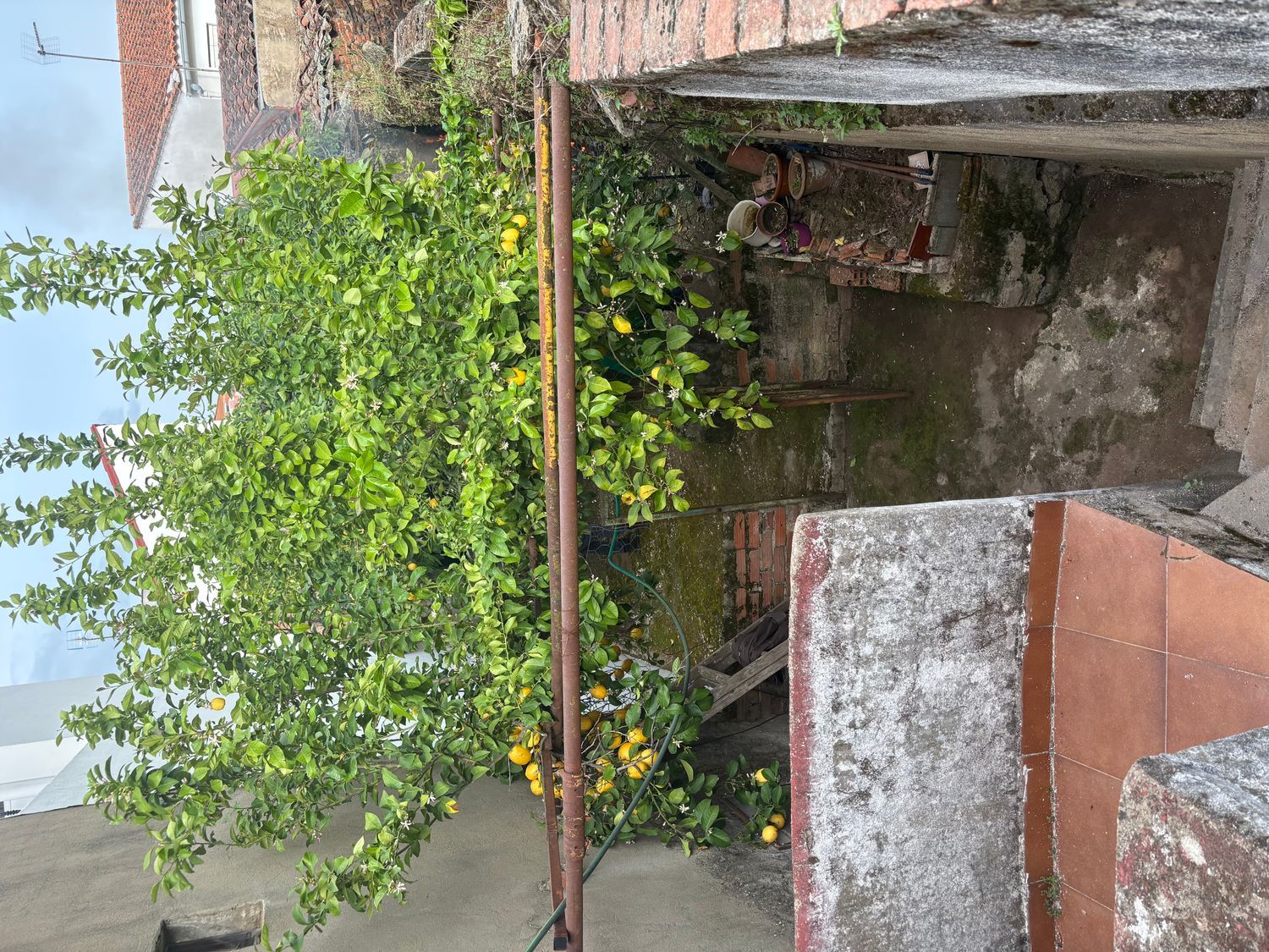 Casa de pueblo en Calle Olivilla, 8 - Foto 6
