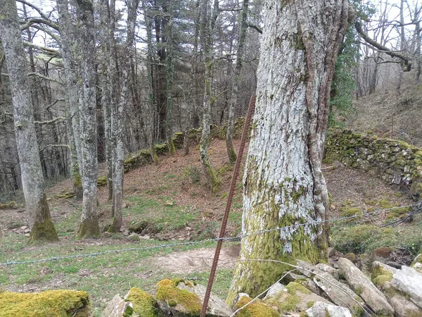 Finca rústica en sin nombre, 15 - Foto 3