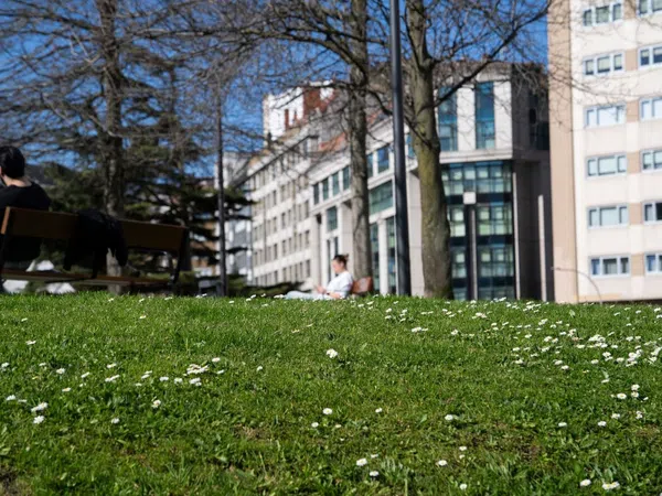 Piso en calle Manuel Piñeiro Pose, 10 - Foto 30