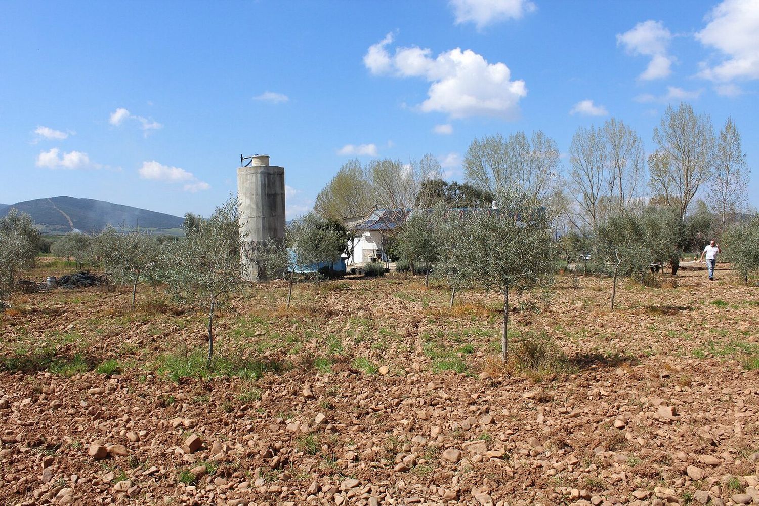 Finca rústica en Cr-7131, 1 km - Foto 23