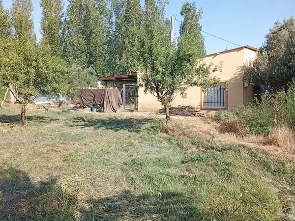 Casa o chalet independiente en Paraje Soto Bajo, Polígono 28 s/n - Foto 8