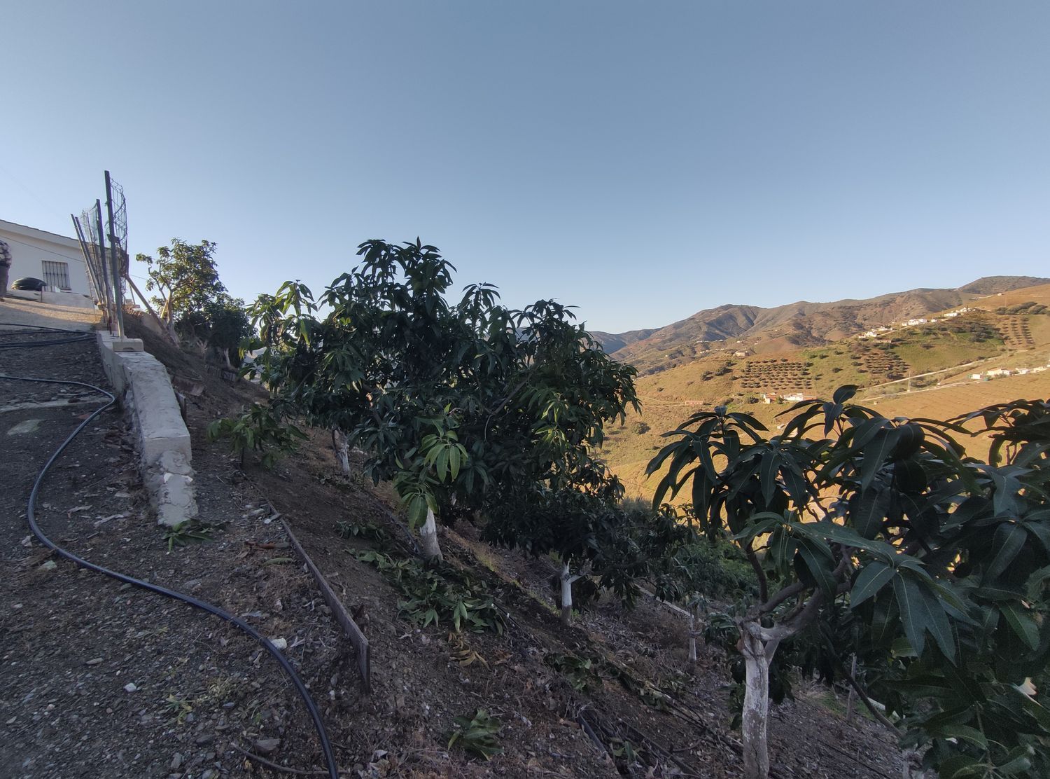 Finca rústica en Casa rural, 1 - Foto 23