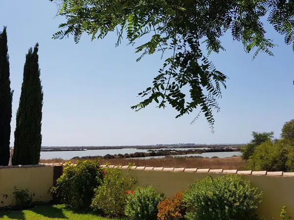 Casa independiente en calle Codorniz, 510 - Foto 9