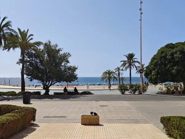 Piso en Avenida de la Armada Española, 26, Playa de Poniente, Playa de Poniente - Foto 12