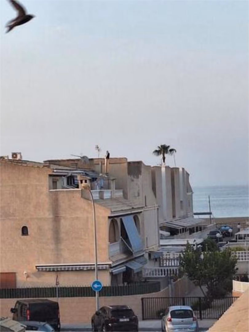 Apartamento en Playa Tamarit - Foto 4