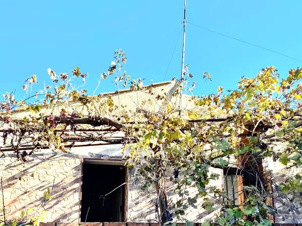 Casa de pueblo en Camino Molino, 6 - Foto 2