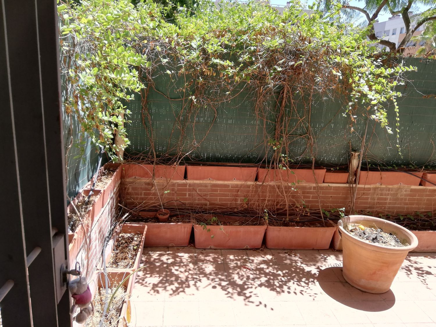 Piso en Isla Tabarca, 10 - Foto 22