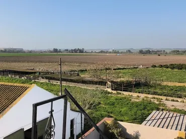 Finca rústica en  Carretera Sevilla 3 - Foto 2