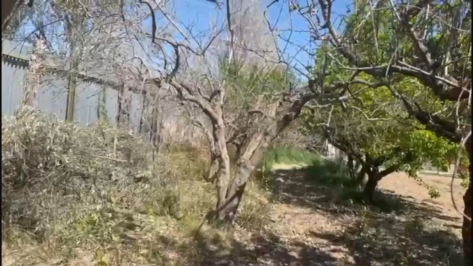 Finca rústica en  Calle de Alfocea 20 - Foto 4