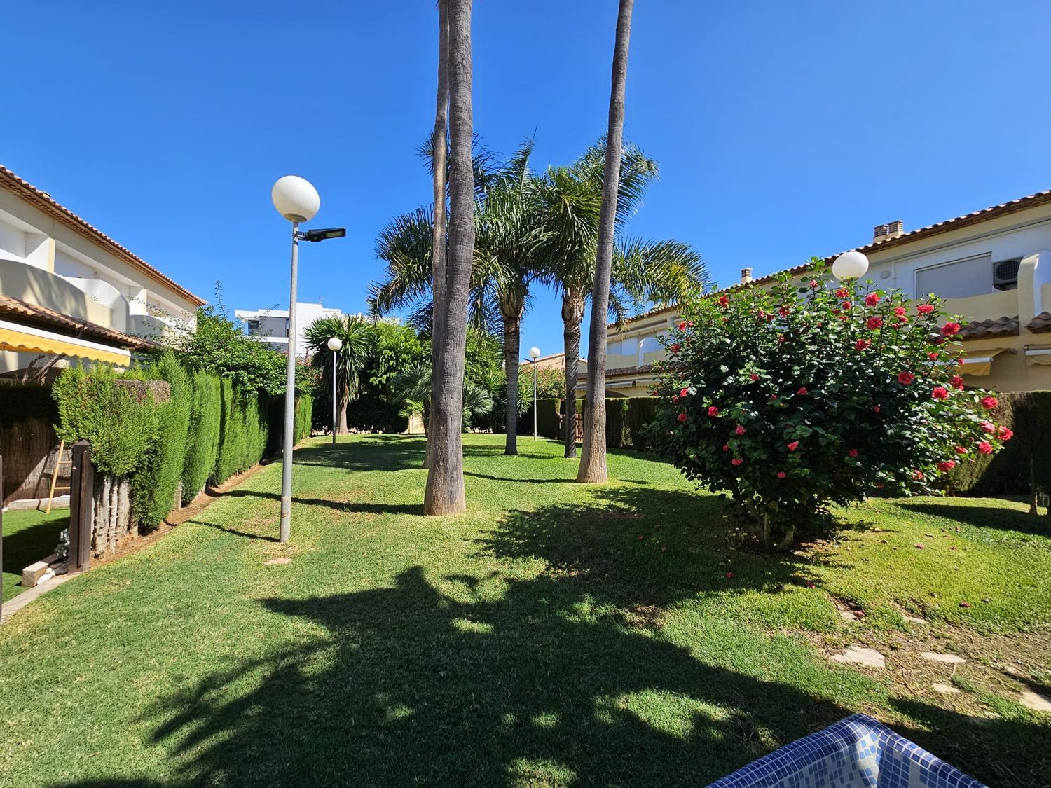 Chalet adosado en Calle Mar Càspia, 36, El Palmar-Los Molinos - Foto 22