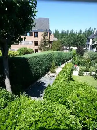Estudio en Pozuelo de Alarcón - Foto 6
