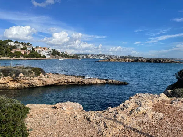 Piso en Paseo Illetes, 99, Illetes, Illetes - Foto 31