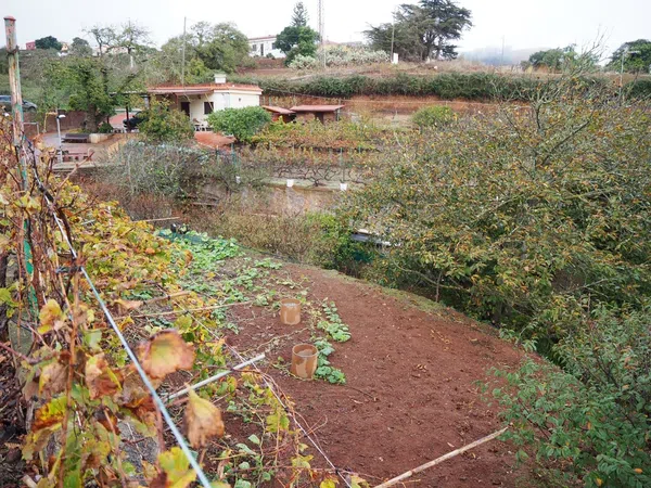 Casa independiente en calle el Sino, 37 - Foto 13