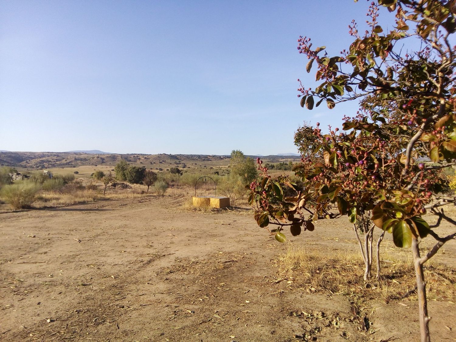 Finca rústica en camino de las laderas, 45 - Foto 20