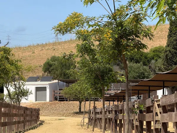 Cortijo en Cortijo en Ca-8200, 8200 Ca-8200 - Foto 11