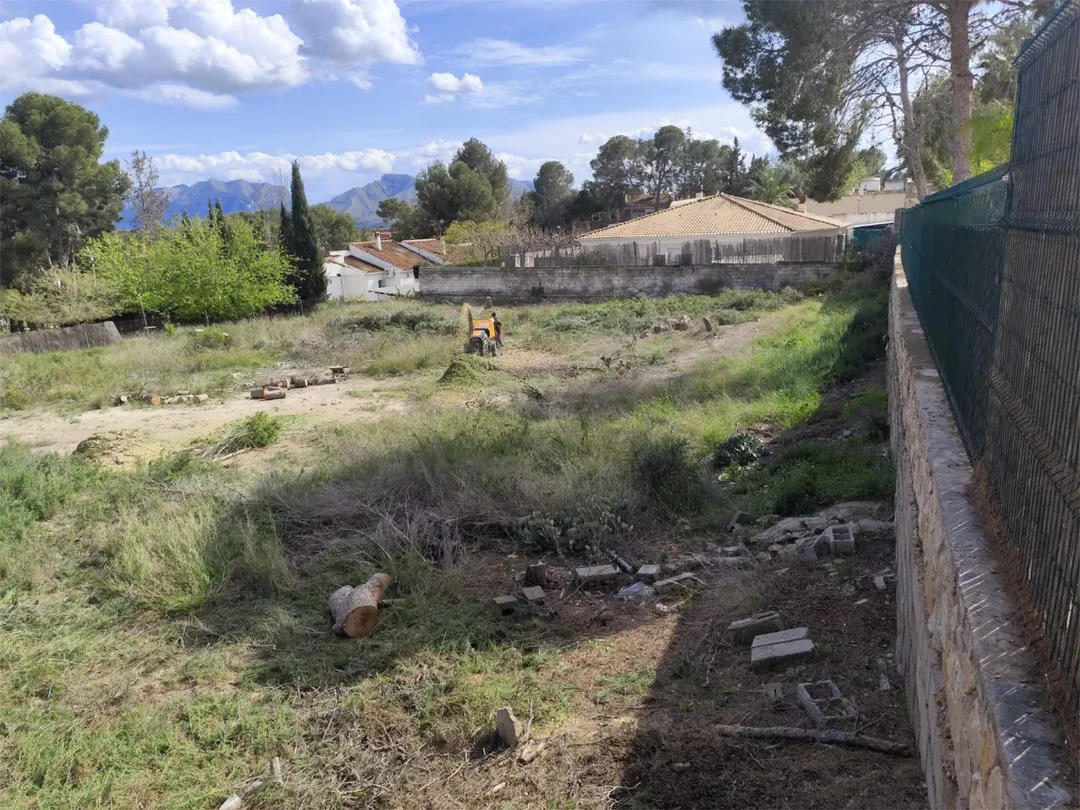 Planta baja en  Calle Número 5 2 - Foto 4