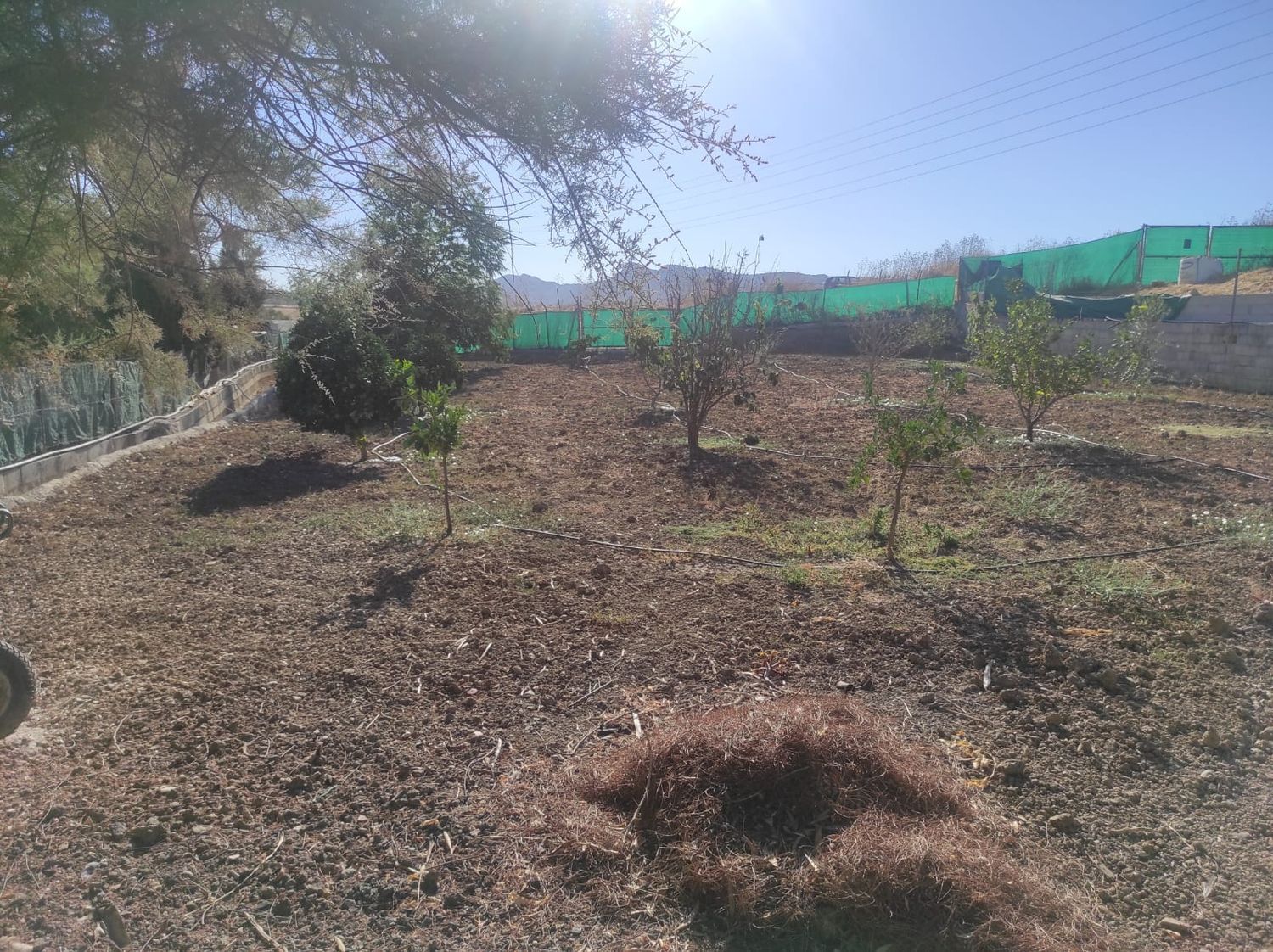 Finca rústica en Villa del Guadalhorce, 1, Villafranco del Guadalhorce, Villafranco del Guadalhorce - Foto 21