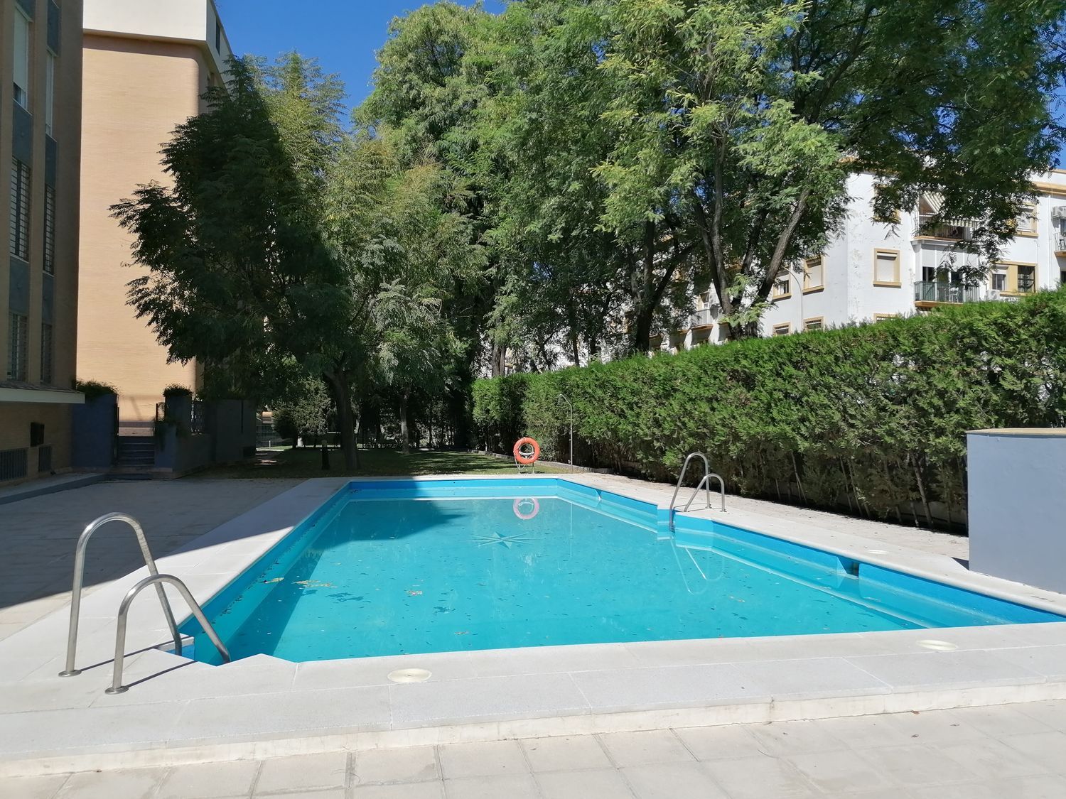 Piso en Avenida de Jerez, 11, Bami - Pineda - Foto 2