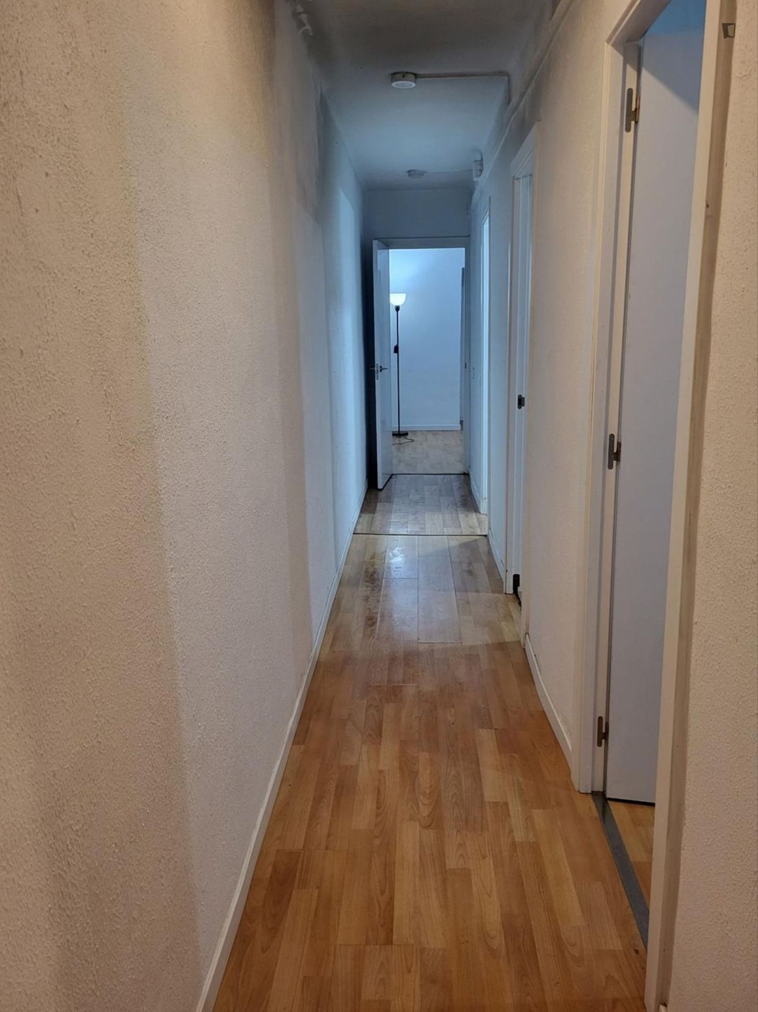 Piso en Rambla Catalana, La Torrasa - Foto 10