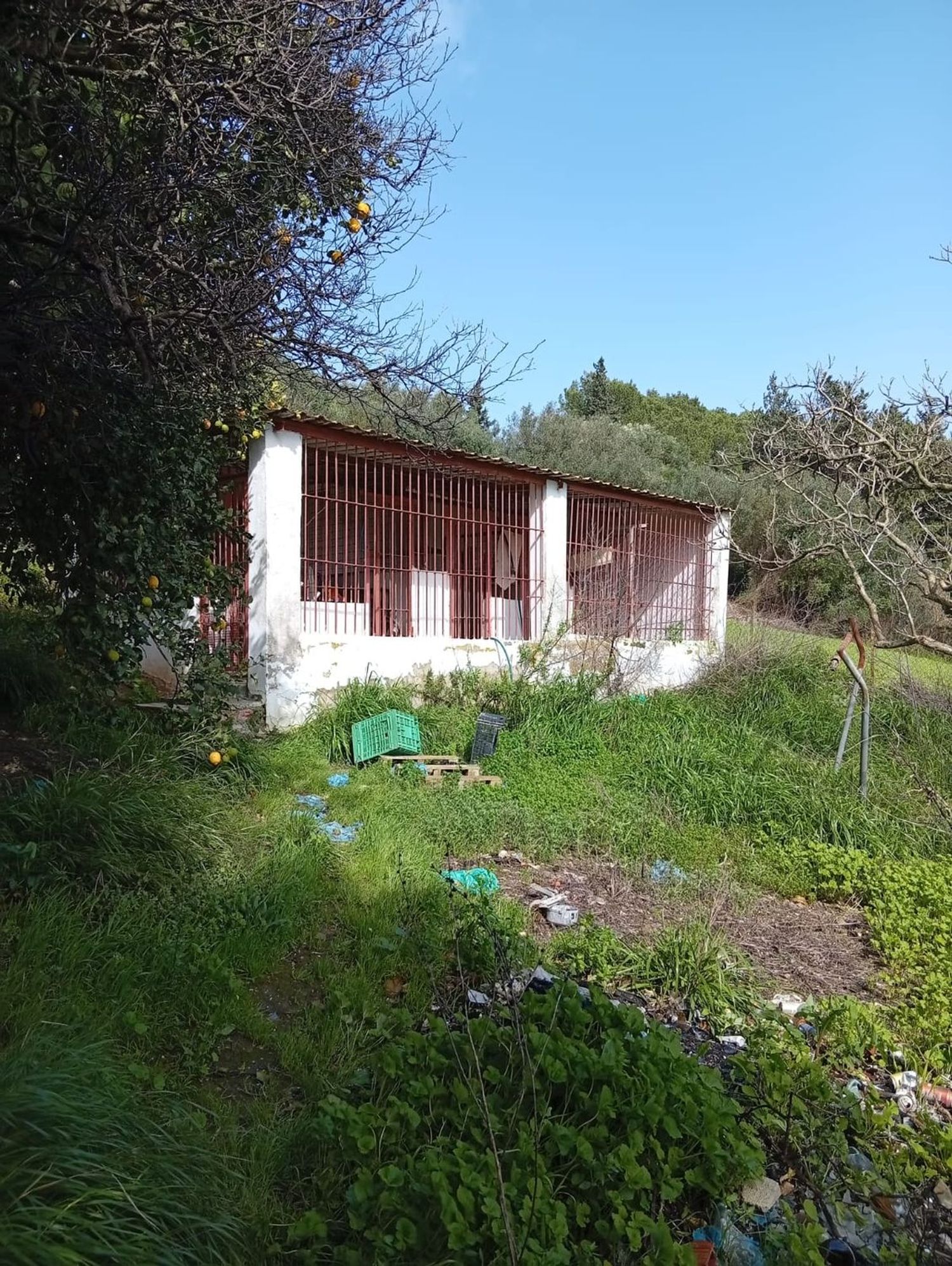 Finca rústica en camino Cañada del Fontanar s/n - Foto 2