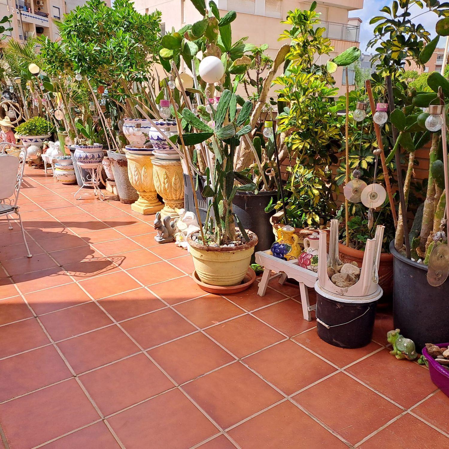Piso en Calle Riu Segura, 18, Zona Pueblo, Zona Pueblo - Foto 18