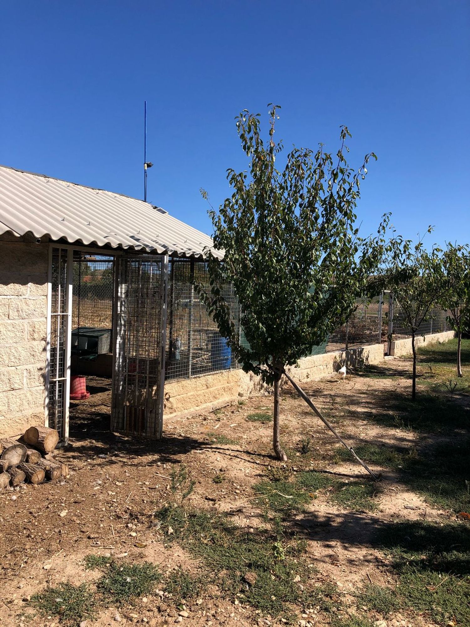 Finca rústica en Camino Vial, 4 - Foto 5