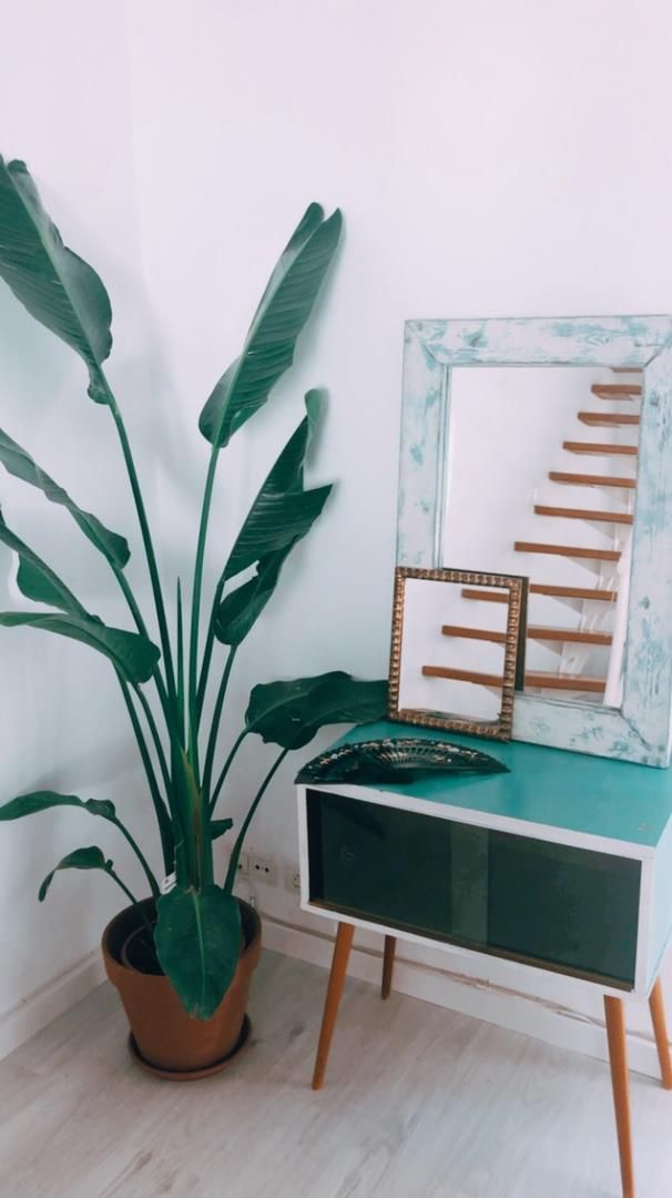 Piso en  Calle Cuba 45 - Foto 3